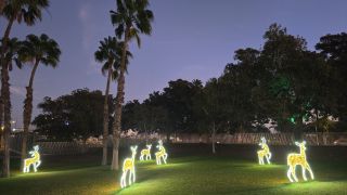 2024-12-GC-Parque_del_Sur-28.jpg